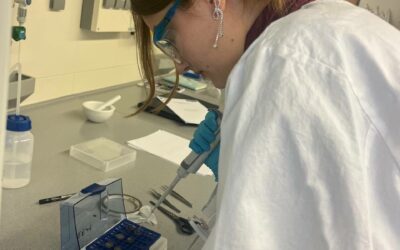 Студентка спеціальності 171 «Електронні інформаційні системи» відвідала Університет Дуйсбурга-Ессена