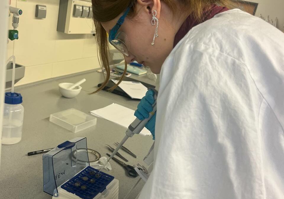 Студентка спеціальності 171 «Електронні інформаційні системи» відвідала Університет Дуйсбурга-Ессена