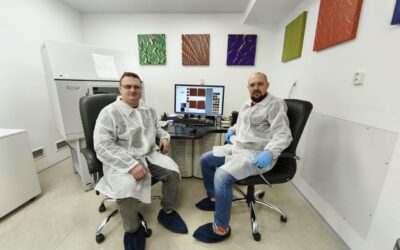 Міжнародне наукове співробітництво за програмою НАТО «Наука заради миру та безпеки»