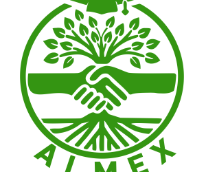 Розвиток взаємодії з випускниками: запрошуємо до участі у проєкті ALMEX